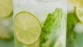 موهیتو با گوشتکوب برقی مولینکس