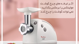 تیغه های چرخ گوشت مولینکس