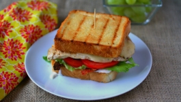 تست مرغ و لیمو و با گوشتکوب برقی