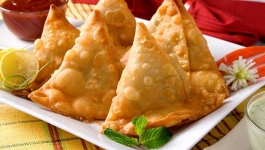 سمبوسه گیاهی با چند کاره تک الکتریک