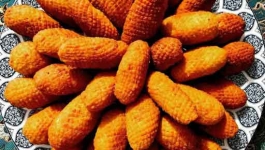 بژی کرمانشاهی با سرخ کن مولینکس 