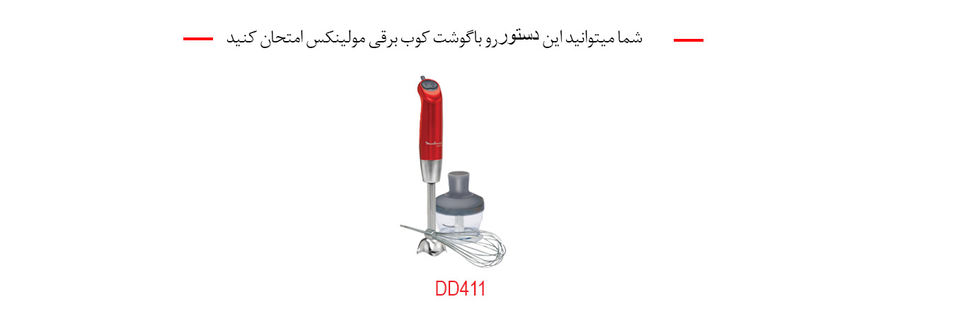 گوشت کوب برقی مولینکس